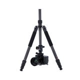 C6i - carbon tripod