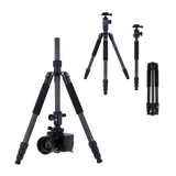 C6i - carbon tripod