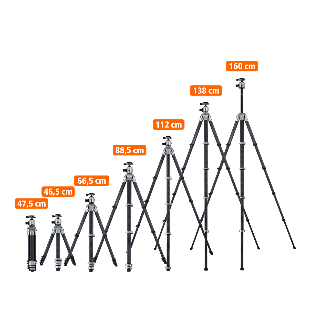 Lion Rock Traveler Pro including tripod head